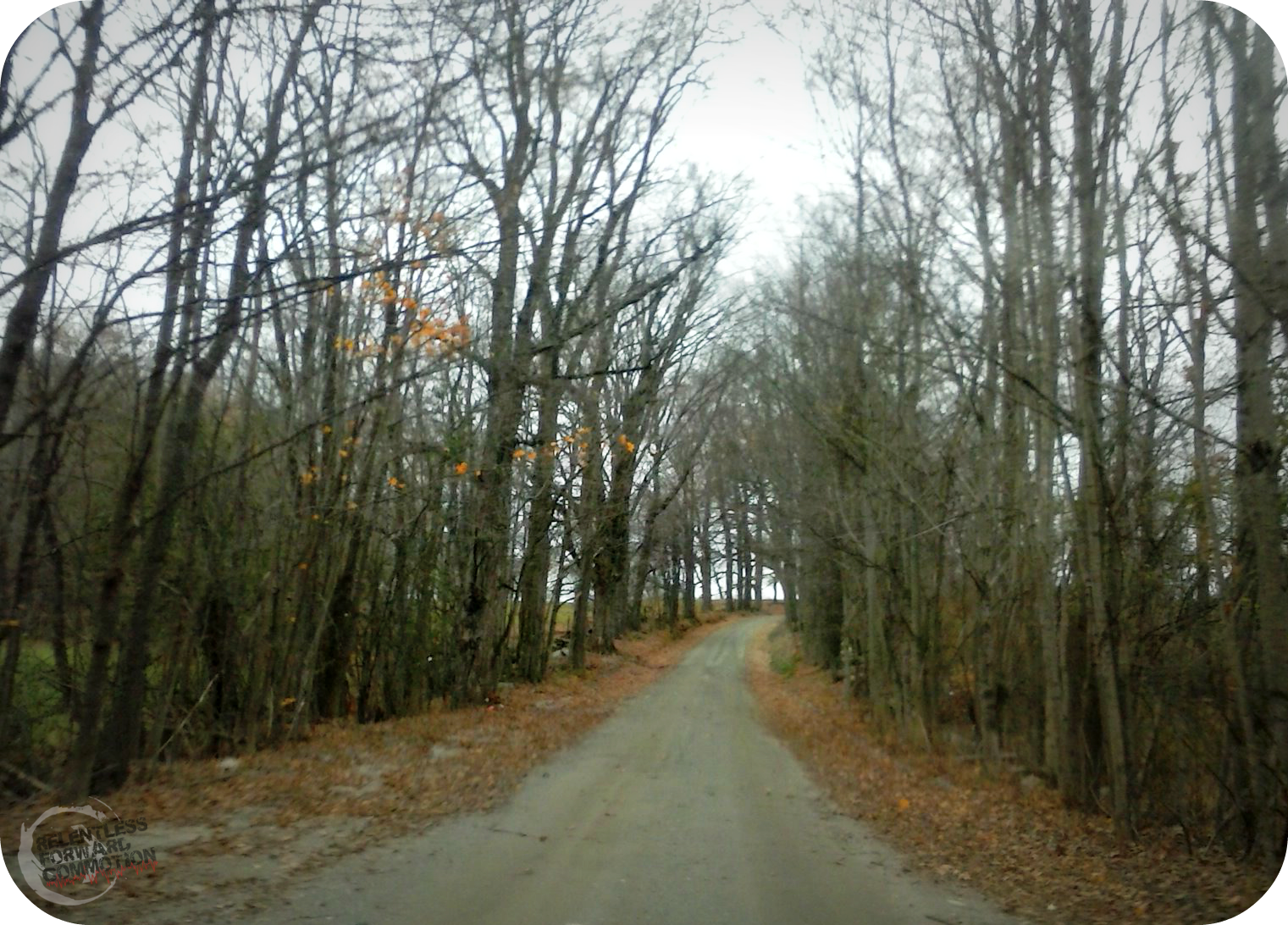 Creepy Crawl 5K Guilford, VT RELENTLESS FORWARD COMMOTION