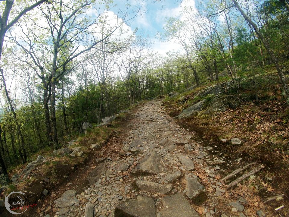 Rocky trail climbing up a mountain in Vermont