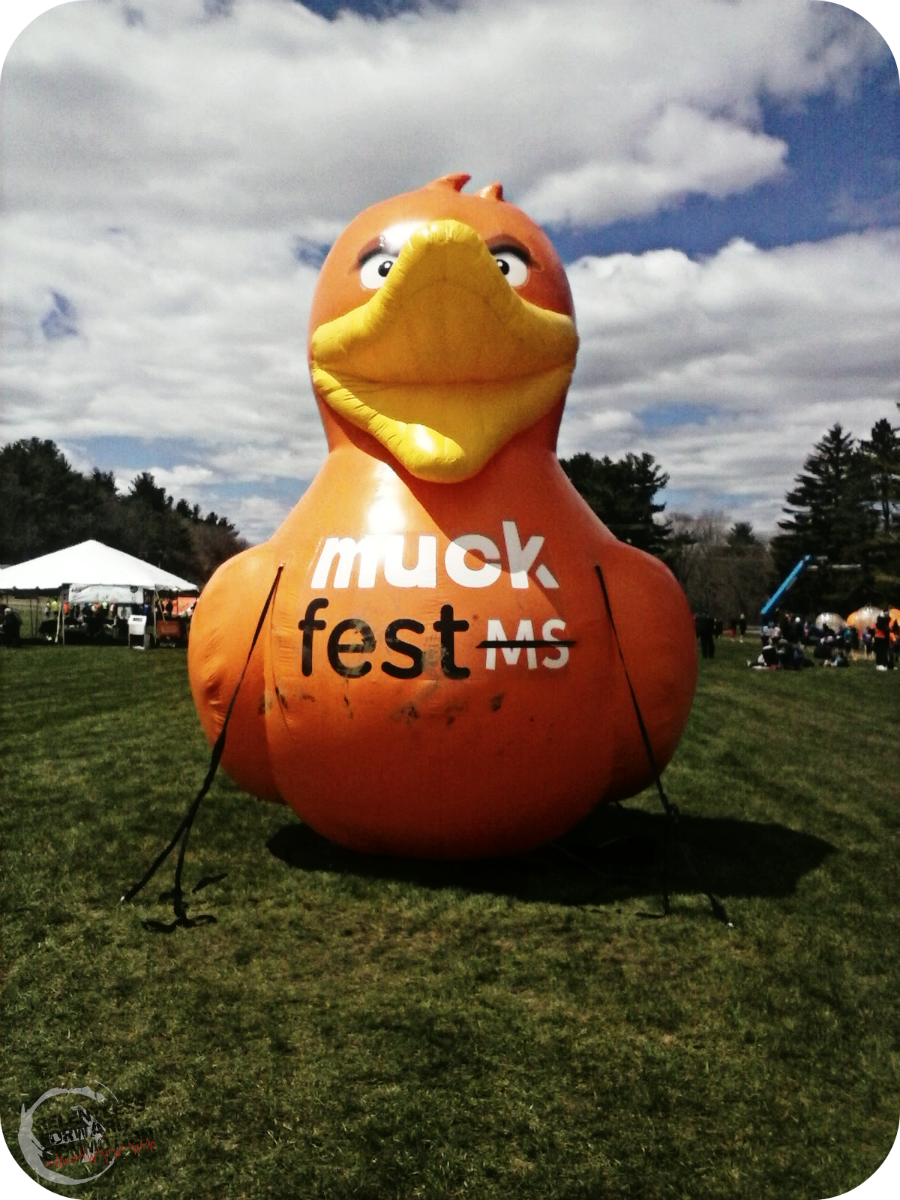 Muckfest MS duck