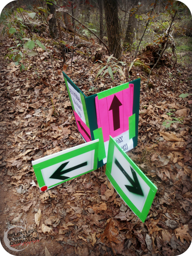 Course Markings Paris Mountain 50K