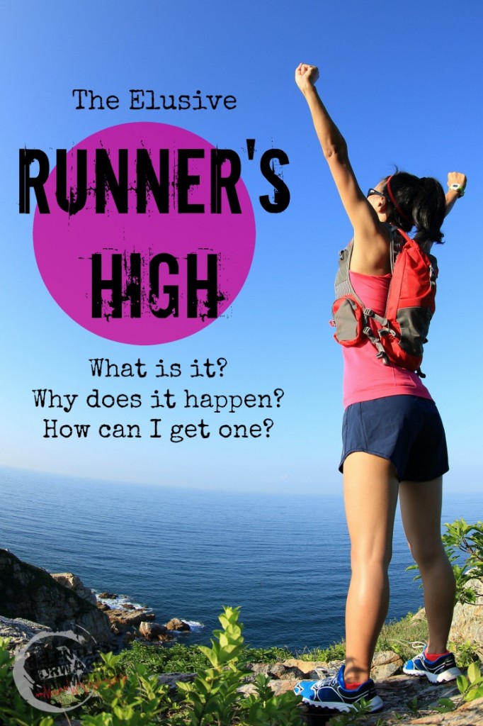 The Elusive Runner's High