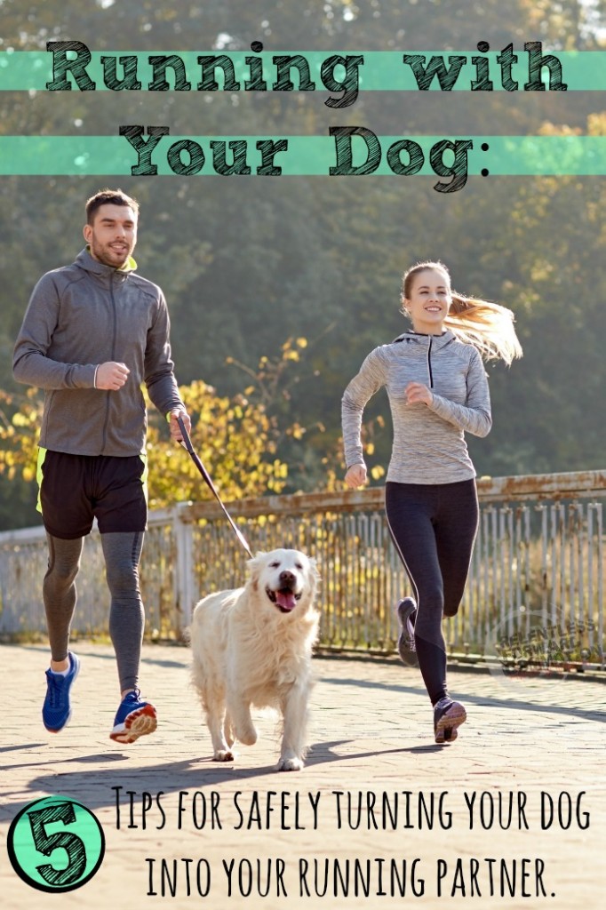 Running with Your Dog