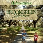Myrtle Beach Outdoor Adventures: Brookgreen Gardens