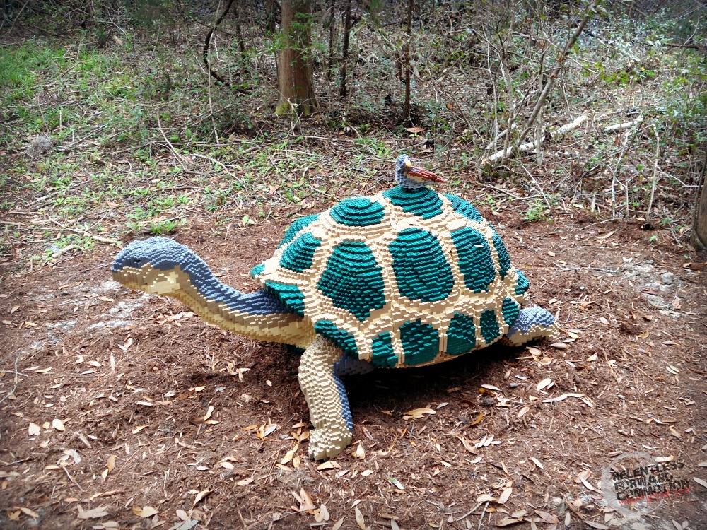 Brookgreen gardens lego tortoise