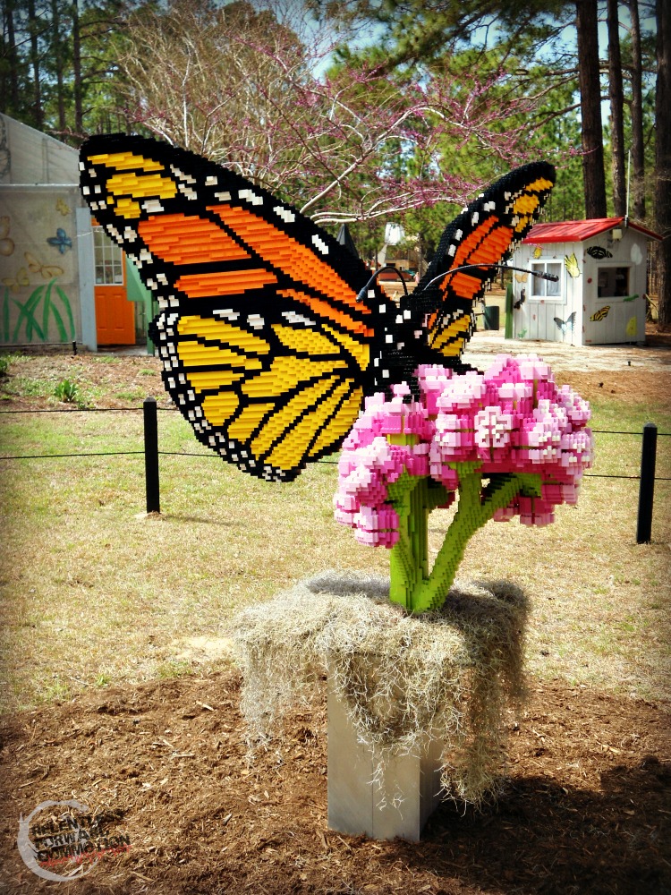 Butterfly lego Brookgreen Garden