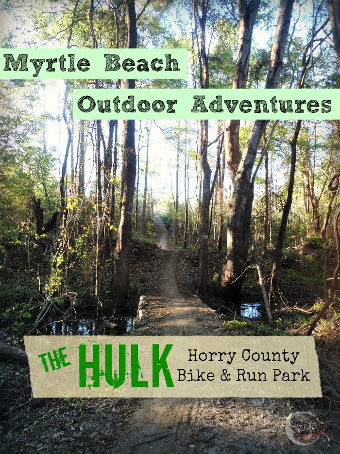 The Hulk Trail Myrtle Beach pin