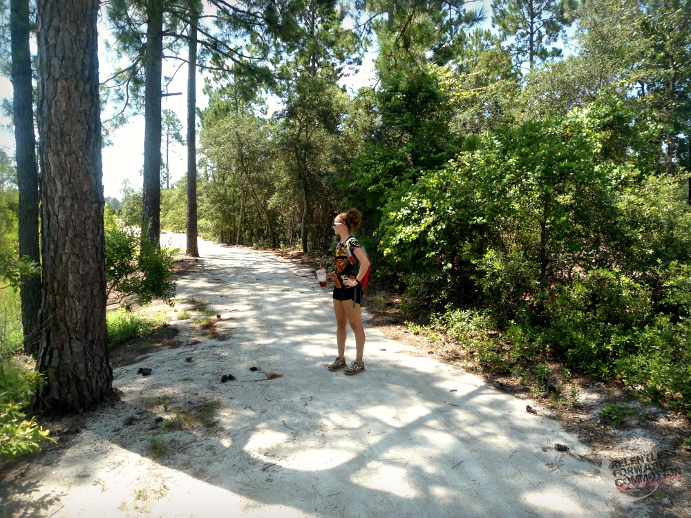 NMB sports complex trails