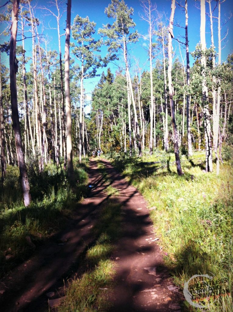 Aspens