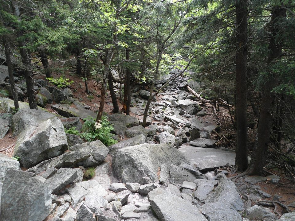 Technical trail on Mt. Monadnock 