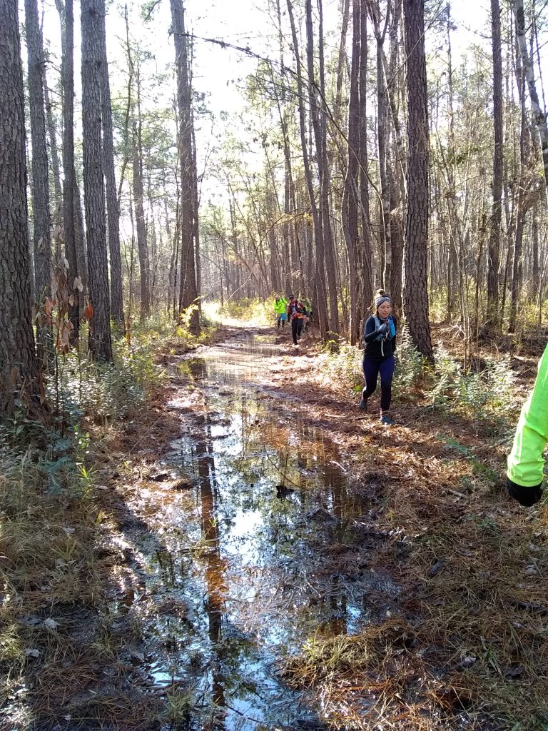 Runners in an ultramarathon running down the very outer sides of a flooded trail in the forest, attempting to keep their feet dry