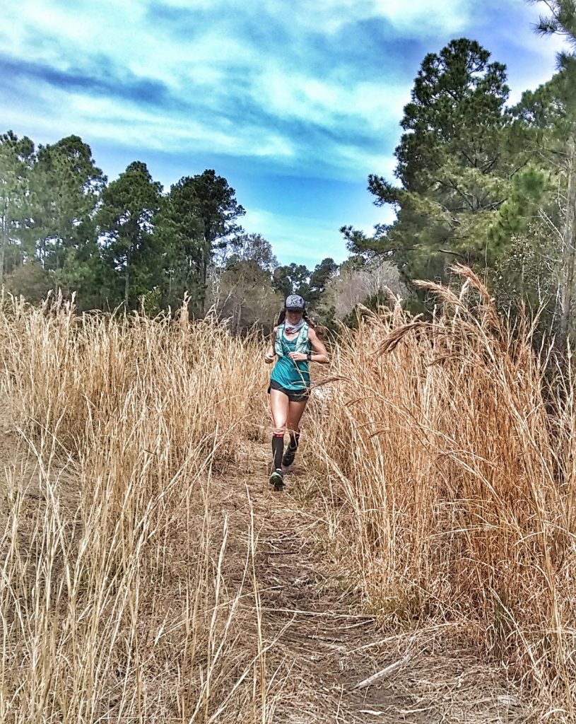Heather hart running through a field of golden tall grass 