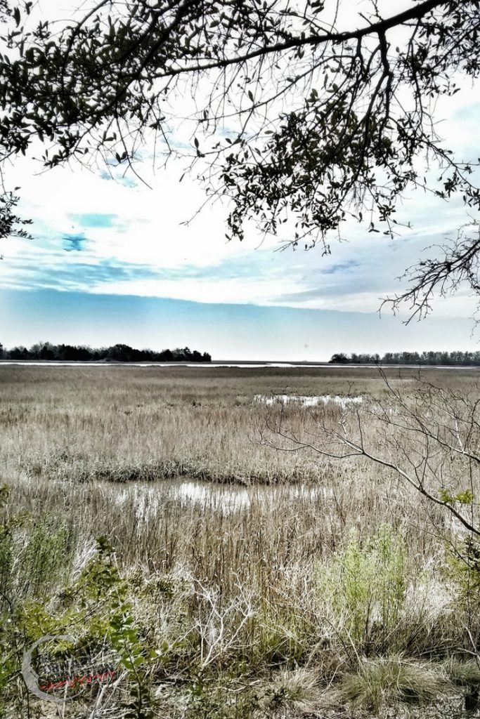 Trail Running at Buck Hall