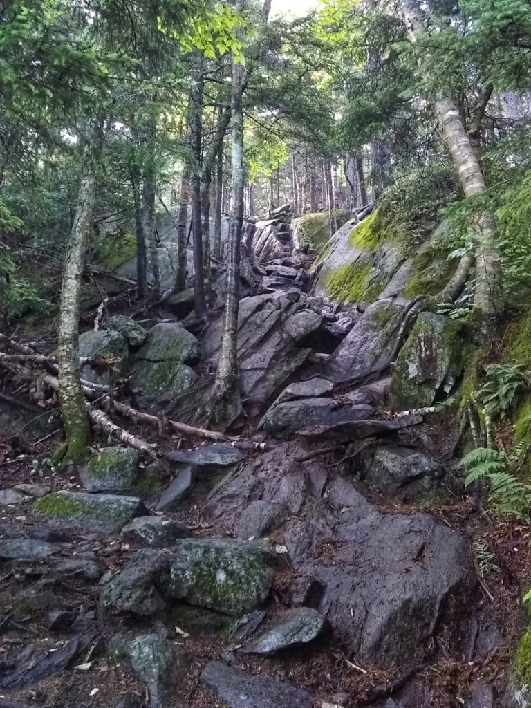 Very rocky terrain of the White Dot trail on Mt. Monadnock in New Hampshire