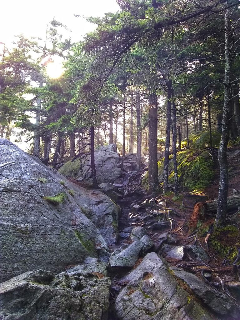 Image of a rocky trail on Mt. Monadnock