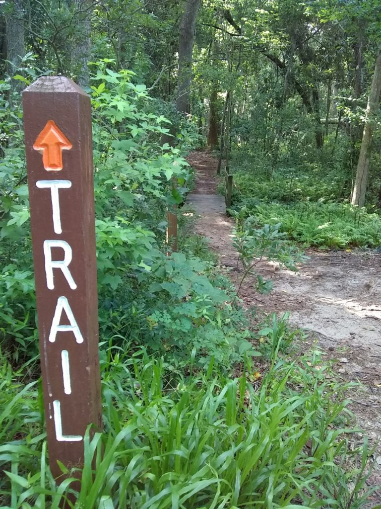 Image of a trail in a forest with a wooden trail maker in the foreground