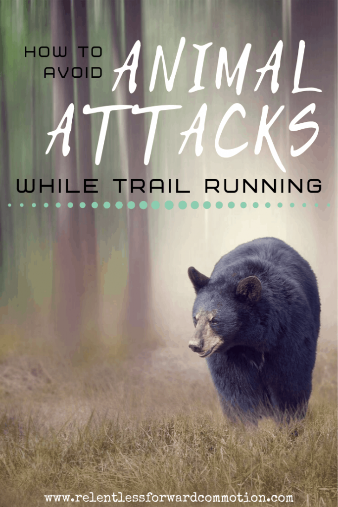 How to Avoid Wild Animal Attacks While Trail Running. 