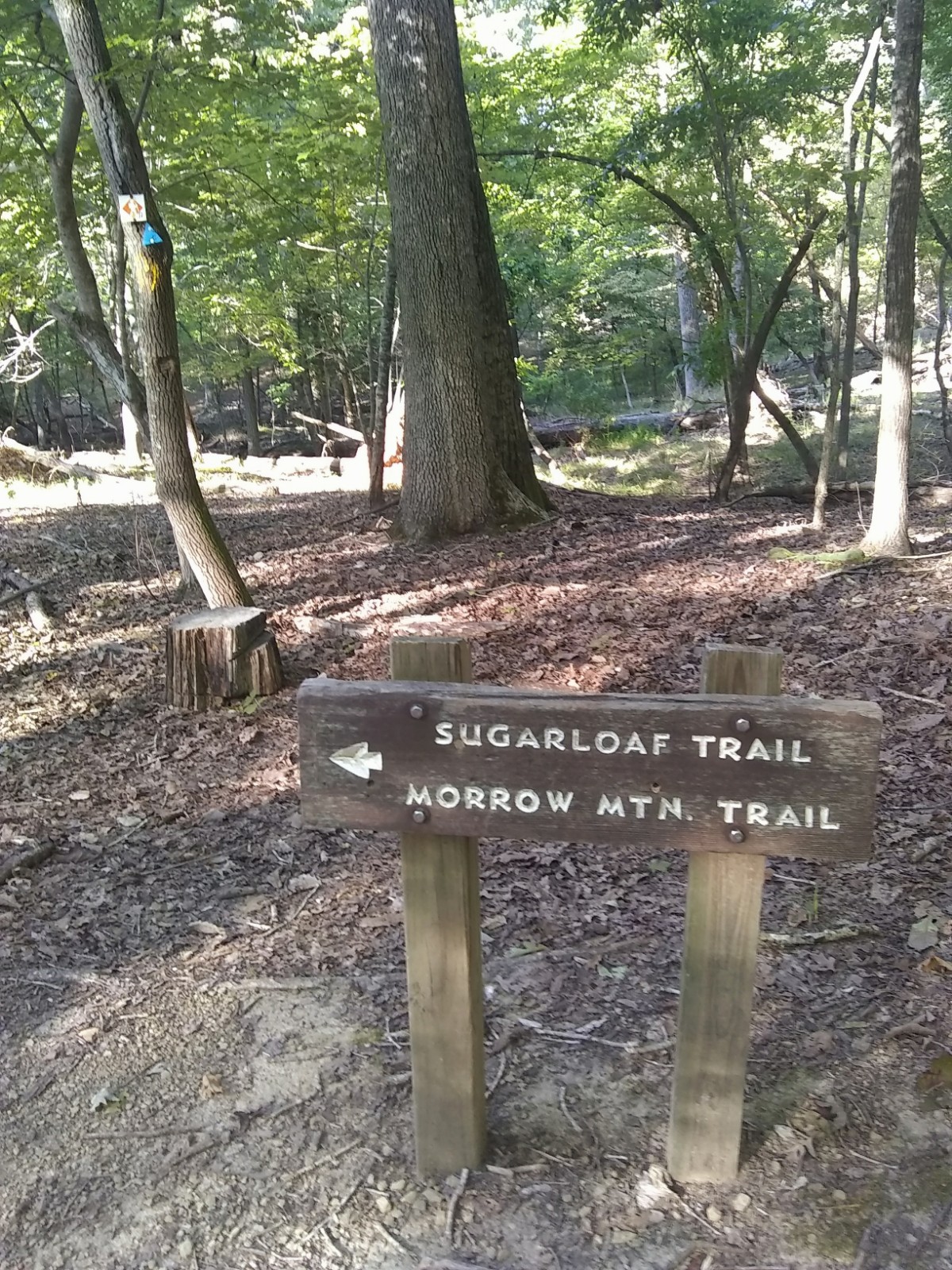 Adventures & Trail Running at Morrow Mountain State Park RELENTLESS