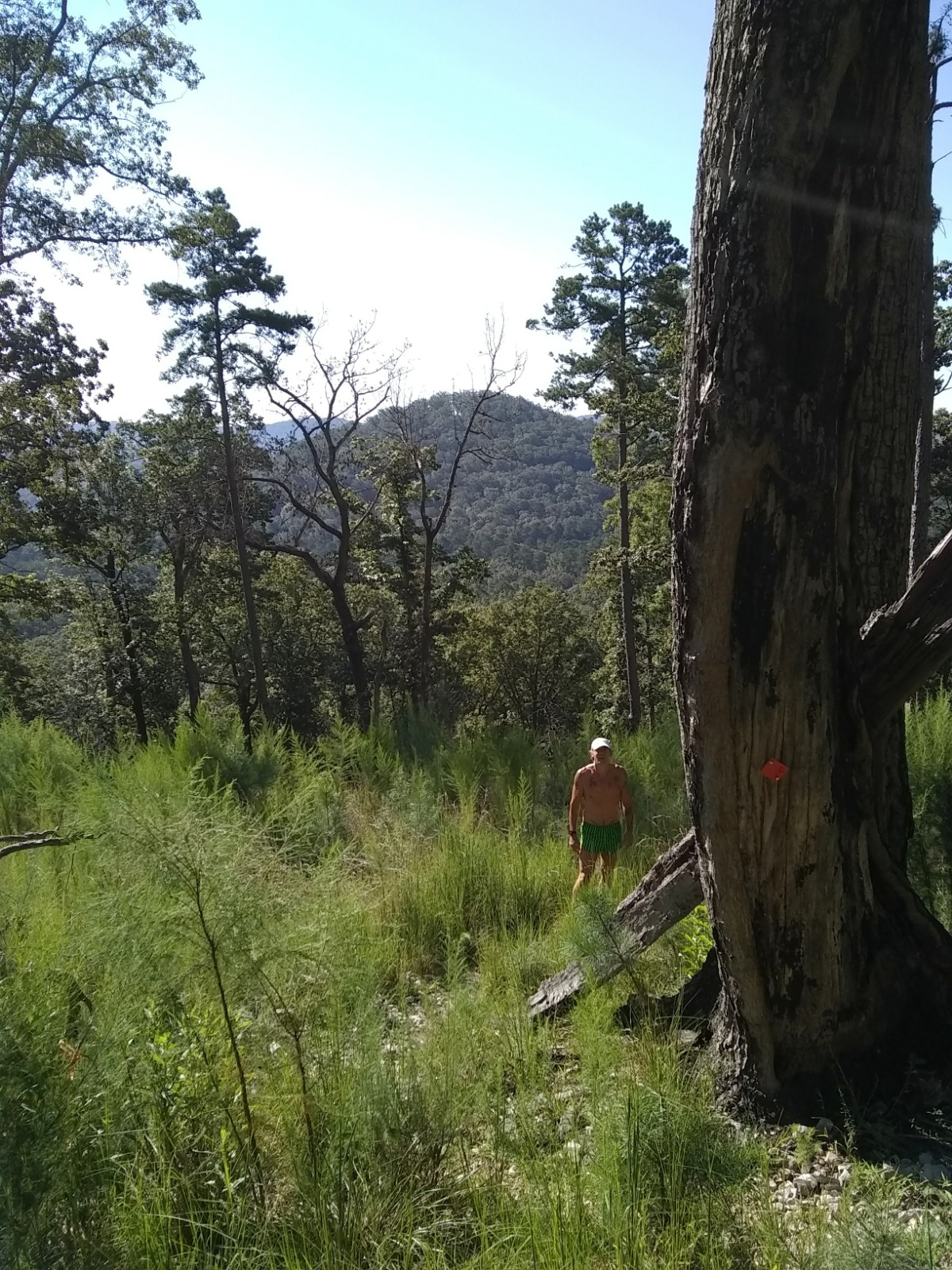 Adventures & Trail Running at Morrow Mountain State Park RELENTLESS