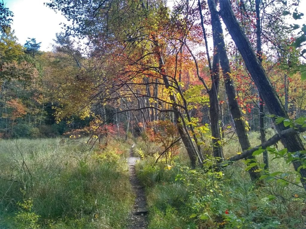 Ragnar Trail Relay Wawayanda Lake - Yellow Loop Trail