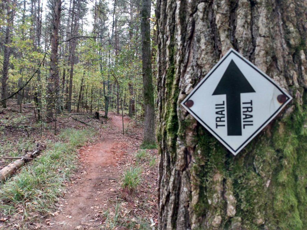 A trail marker nailed into a tree on the side of a forest trail