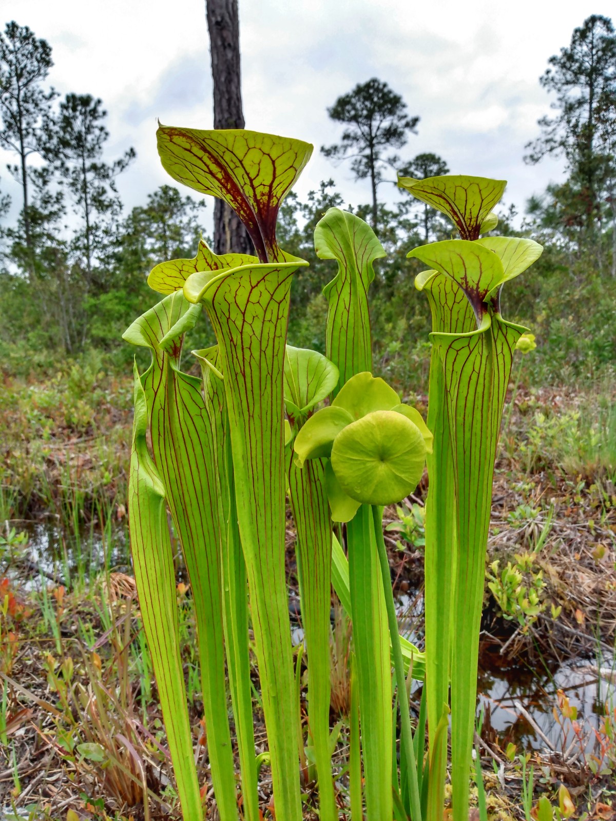 The Lockdown - 21 Hour Virtual Adventure Race Recap - RELENTLESS ...