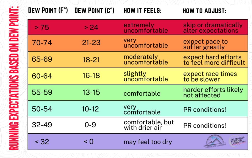 Summer Running Survival Guide 10 Tips for Running in Heat & Humidity