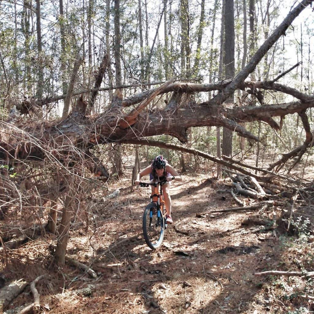 Mountain biking under a fallen tree