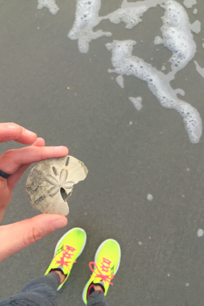 Image of a runners sneakers on the sand at the edge of the ocean holding a sand dollar shell