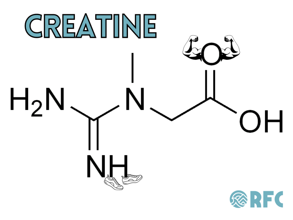 Creatine molecule 