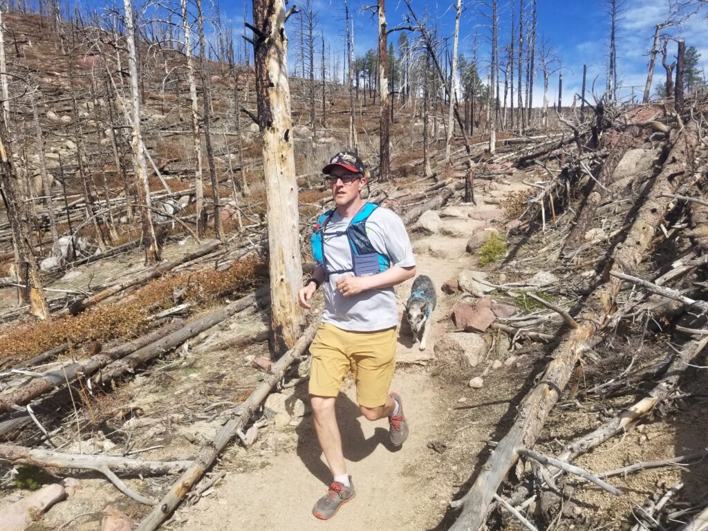 Trail runner running through a sparce forest trail