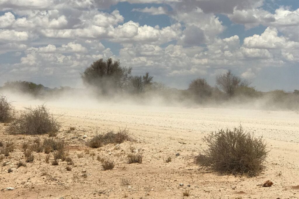 Dust blowing in the air over a dry desert trail 